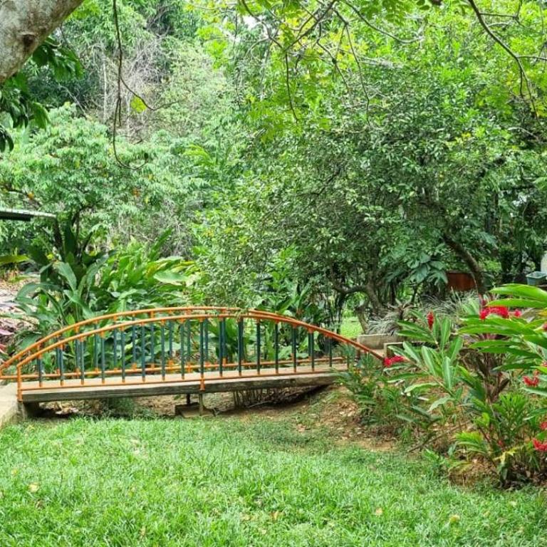 La Gaitana Finca Hotel - Villa de 3 dormitorios - 7