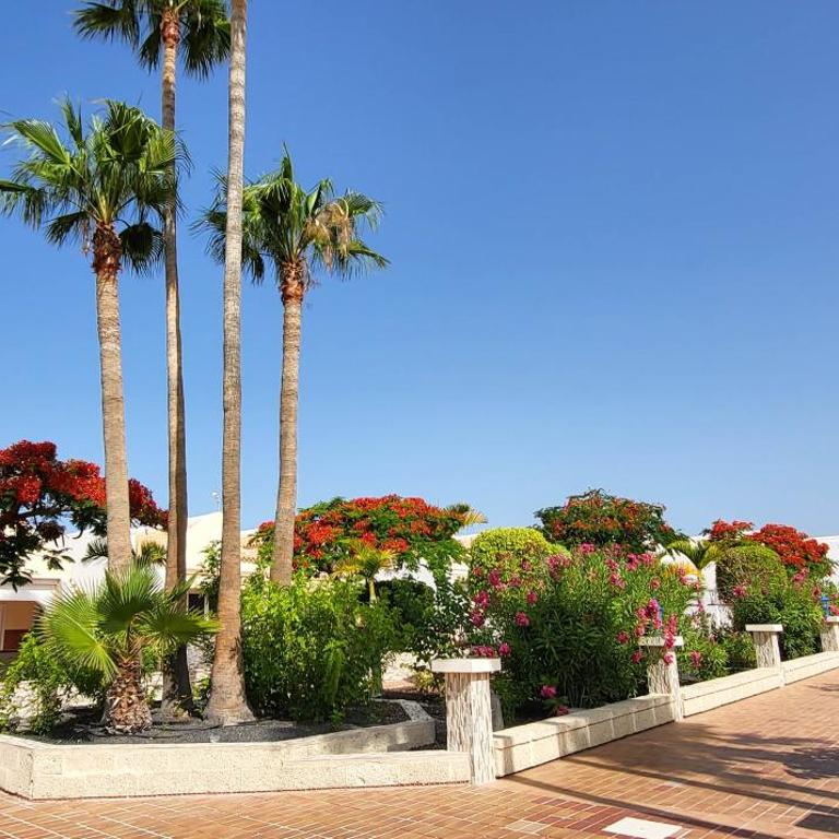 The Palms Poolview Balcony Suite - Apartamento de 1 dormitorio - 20