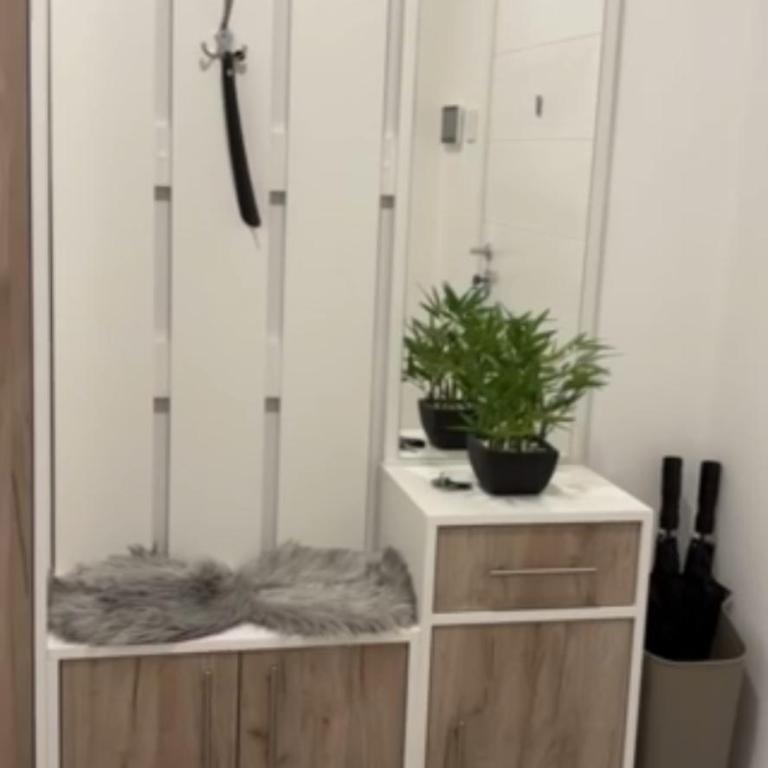 Apartman Agave - Apartman sa 1 Spavaćom Sobom - 8