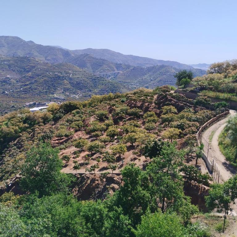 Casa Natura - Casa de 3 dormitorios - 15