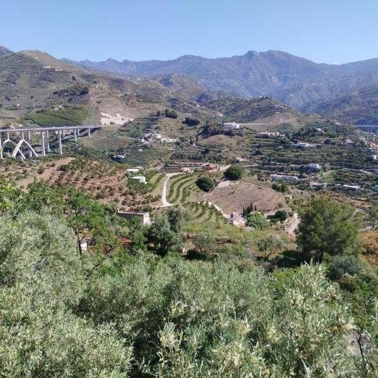 Casa Natura - Casa de 3 dormitorios - 17
