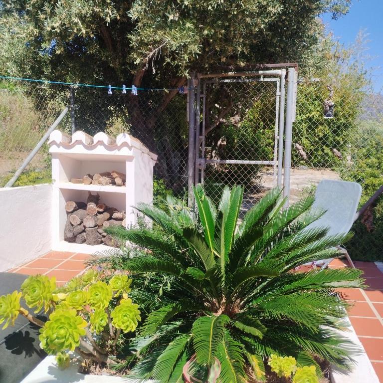 Casa Natura - Casa de 3 dormitorios - 47