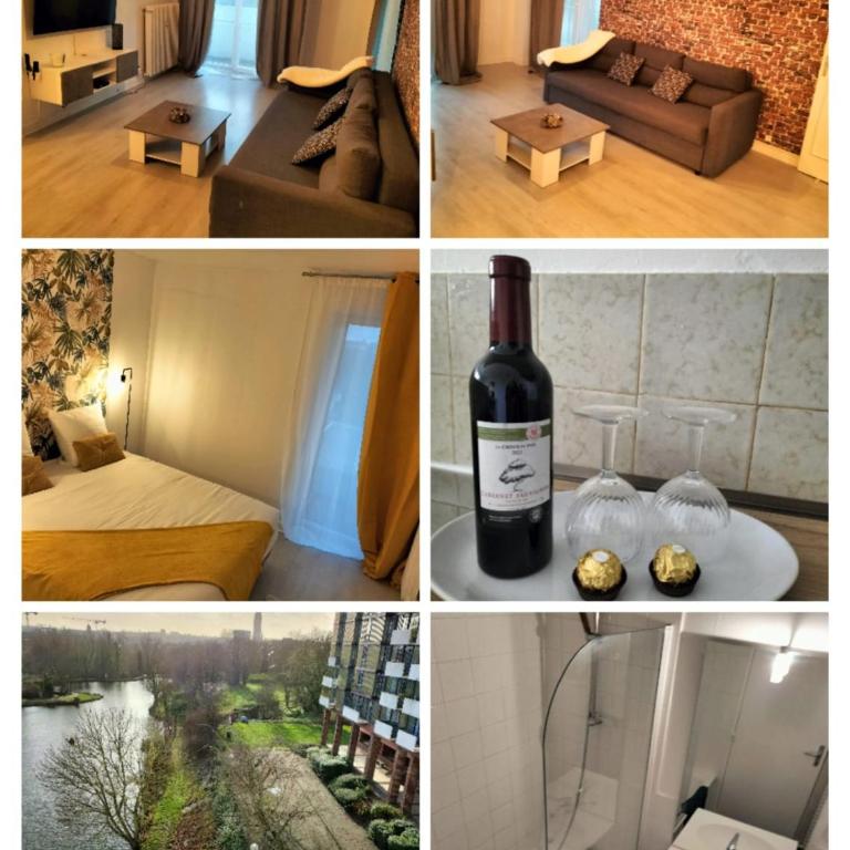 Pearl of Amiens center, Train station, Parking - One-Bedroom Apartment with Lake View - 33