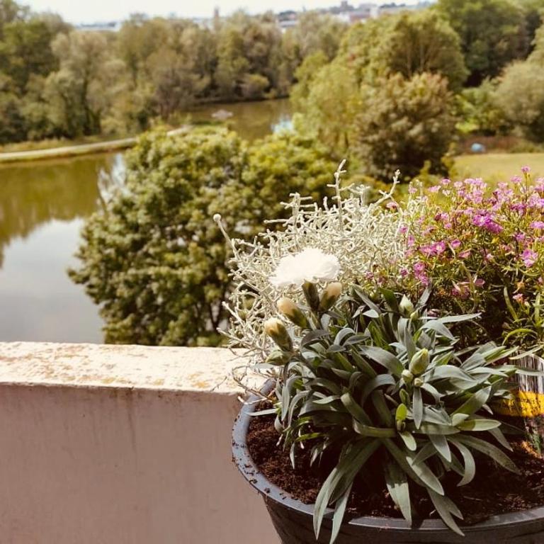 Pearl of Amiens center, Train station, Parking - One-Bedroom Apartment with Lake View - 35