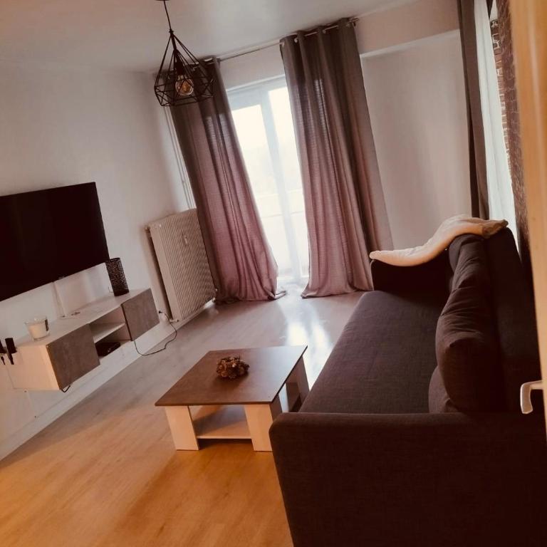Pearl of Amiens center, Train station, Parking - One-Bedroom Apartment with Lake View - 51