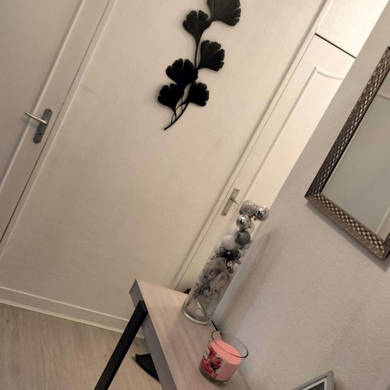 Pearl of Amiens center, Train station, Parking - One-Bedroom Apartment with Lake View - 52