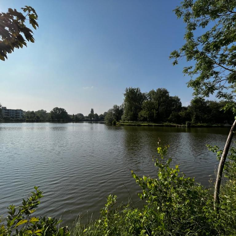 Pearl of Amiens center, Train station, Parking - One-Bedroom Apartment with Lake View - 30