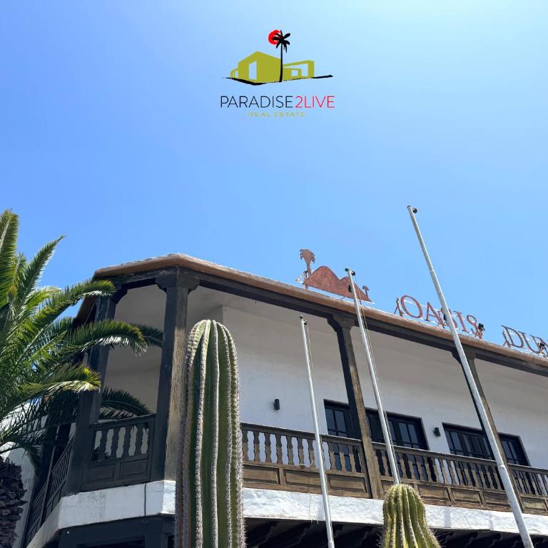 El Caballito de Mar - Apartamento de 1 dormitorio - 2