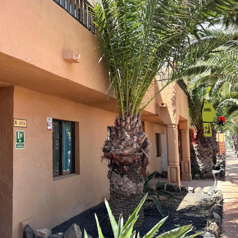 El Caballito de Mar - Apartamento de 1 dormitorio - 20
