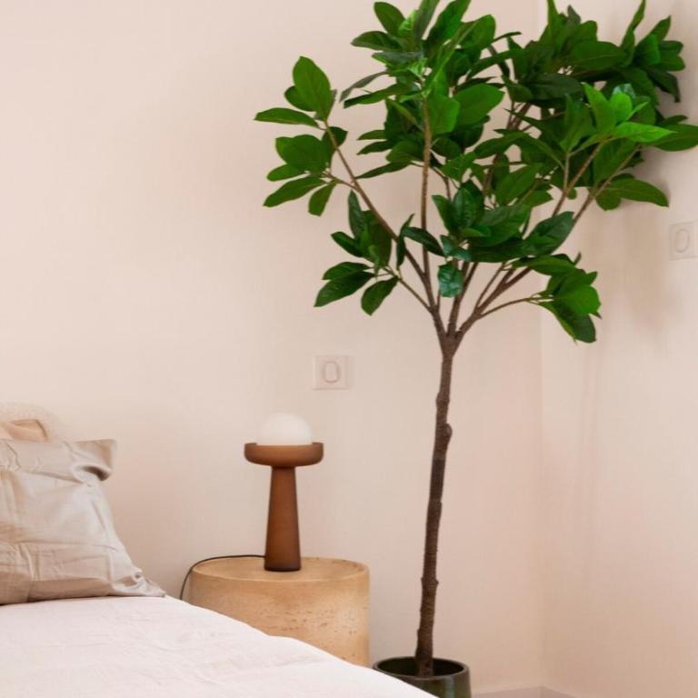 Le Mercœur, appartement calme en hypercentre - Appartement 1 Chambre - 22