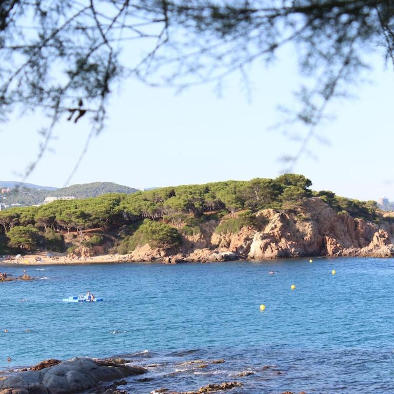 Villa 10 people, 150 m from the sea, pool and garden - Villa - 32