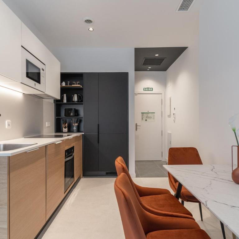 Canillas Apartments - One-Bedroom Apartment 4 - 5
