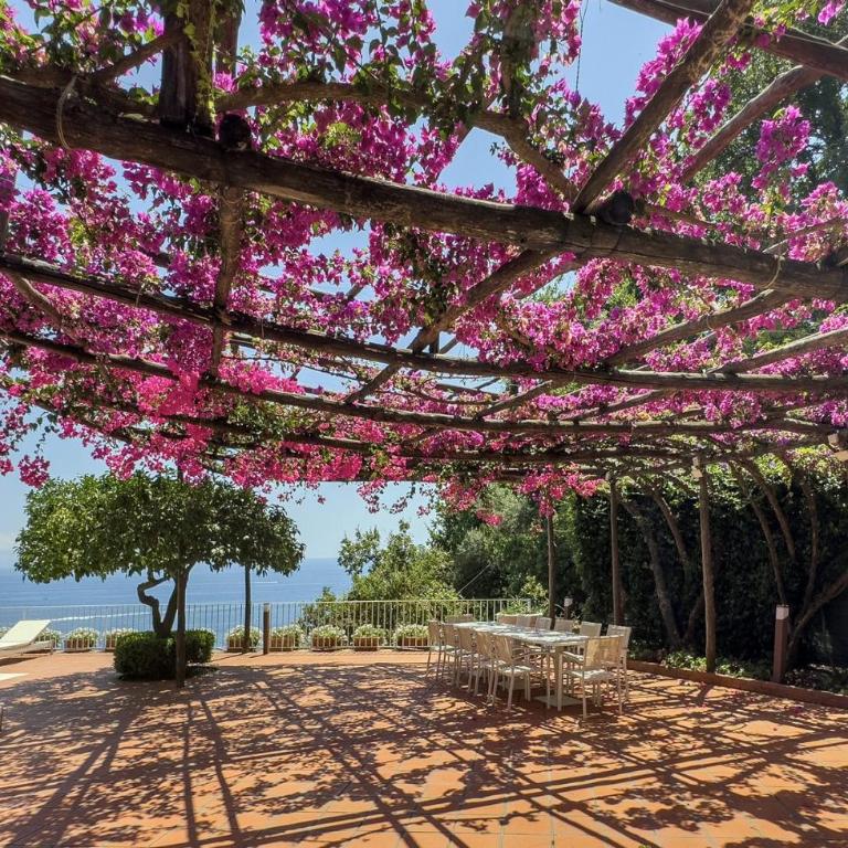 Villa Santa Croce - Villa con Piscina Privata - 13