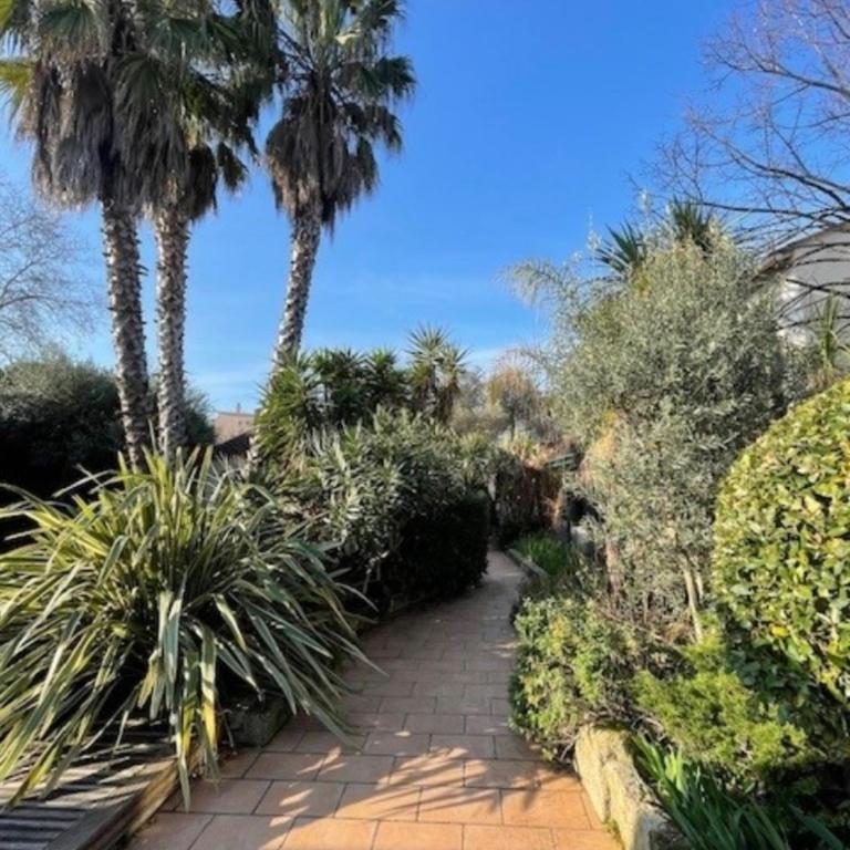 Villa Impressionniste - au coeur de Montpellier, villa 290 m2, jardin tropical, piscine, cuisine extérieure - Villa - 4