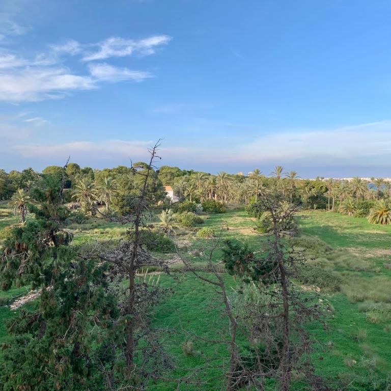 Peaceful Apartment with Sea & Nature Views, Terrace, Pool and Garage - Two-Bedroom Apartment with Balcony and Sea View - 18