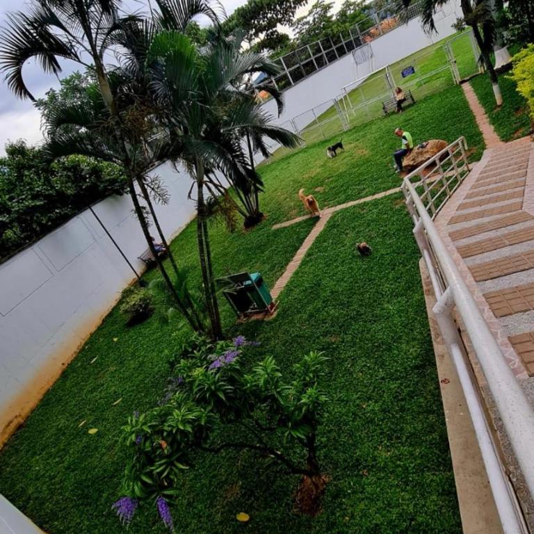 Apartamento de Lujo - Apartamento de 3 dormitorios - 15