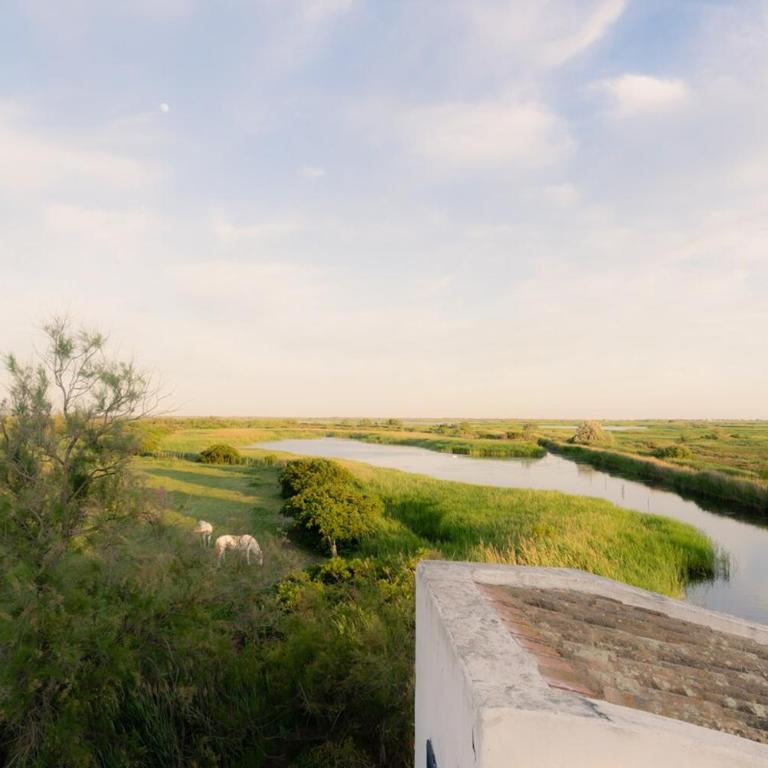 La Maison blanche de Camargue - Villa - Vue sur Jardin - 5