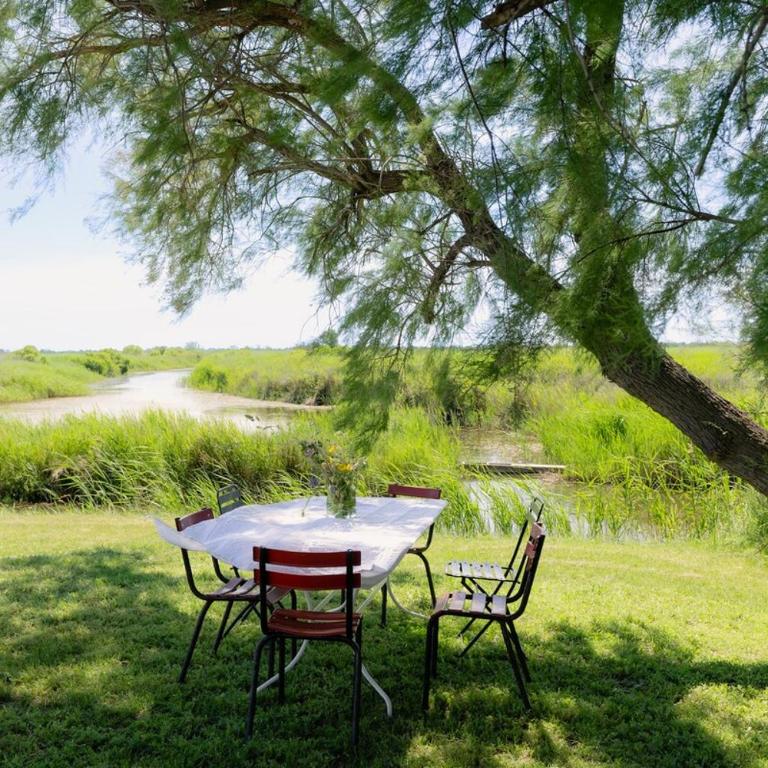 La Maison blanche de Camargue - Villa - Vue sur Jardin - 15