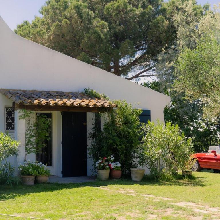 La Maison blanche de Camargue - Villa - Vue sur Jardin - 17