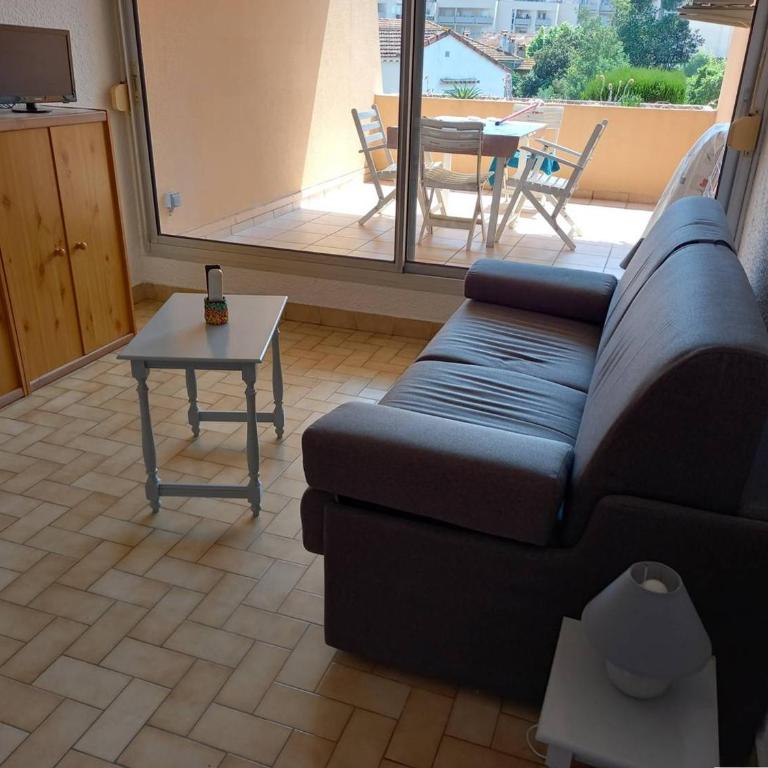Studio climatisé avec coin nuit et terrasse plein Sud, 10 m², parking inclus - FR-1-100-194 - Studio - 11