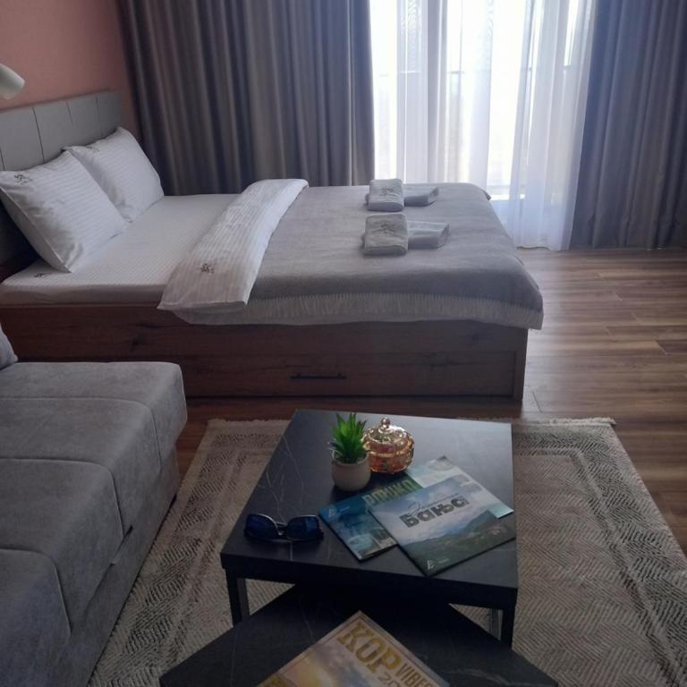 Apartman MK Kopaonik - Apartment with Mountain View - 50