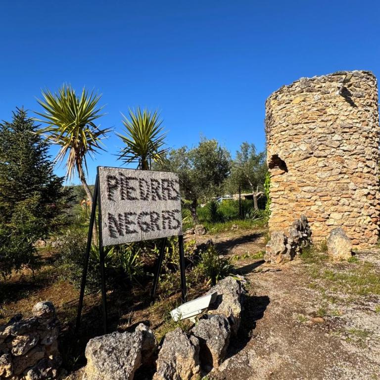 Casa Rural Piedras Negras, La Parchite, Ronda - Casa - 33