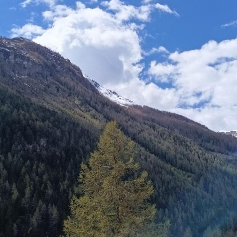 Le chemin des étoiles - Chalet - 13