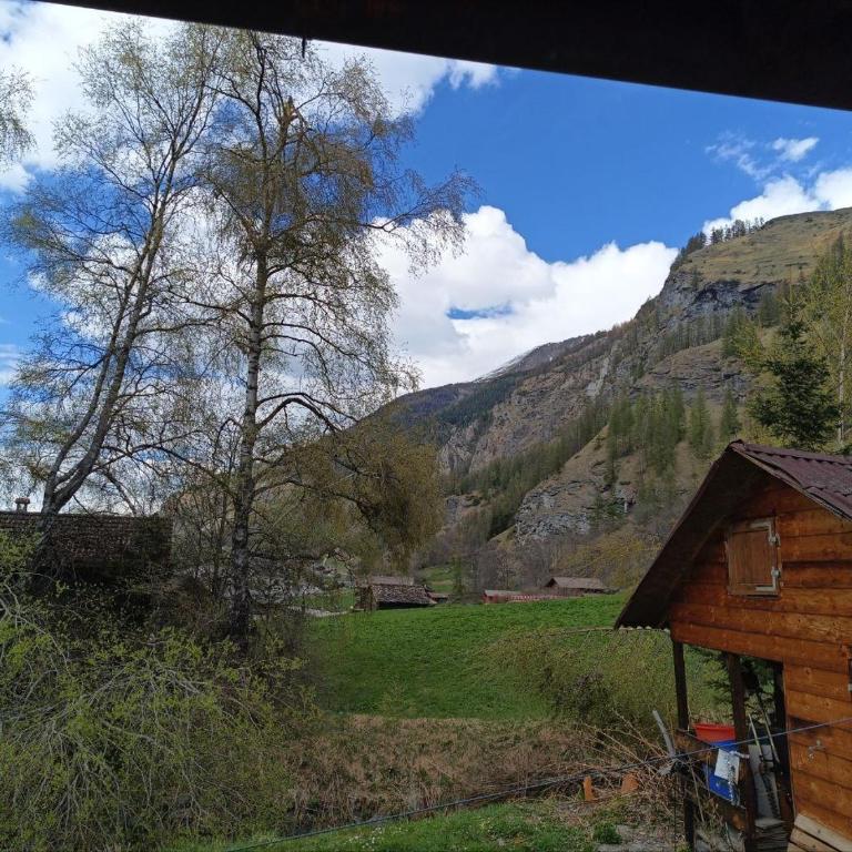 Le chemin des étoiles - Chalet - 7