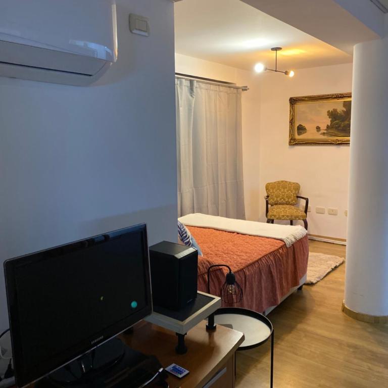 Mono ambiente Puerto Santa Fe - Apartamento de 1 dormitorio - 1