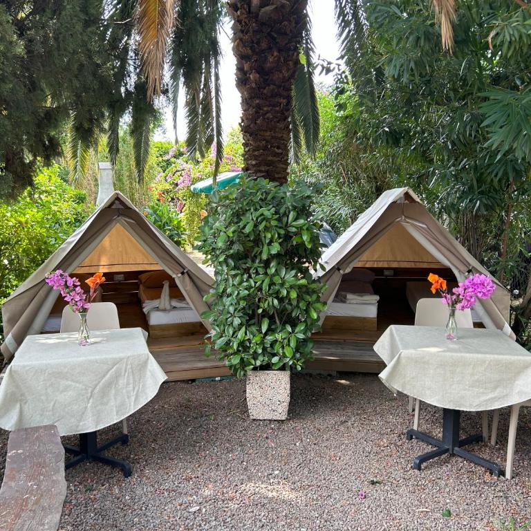 Camping Al Porto - Mini Glamping & Mobile Homes - Zelt - 2