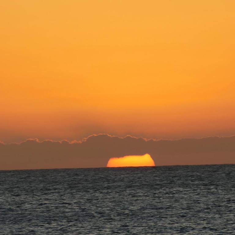 Ocean Breeze House - Apartamento de 1 dormitorio - 12
