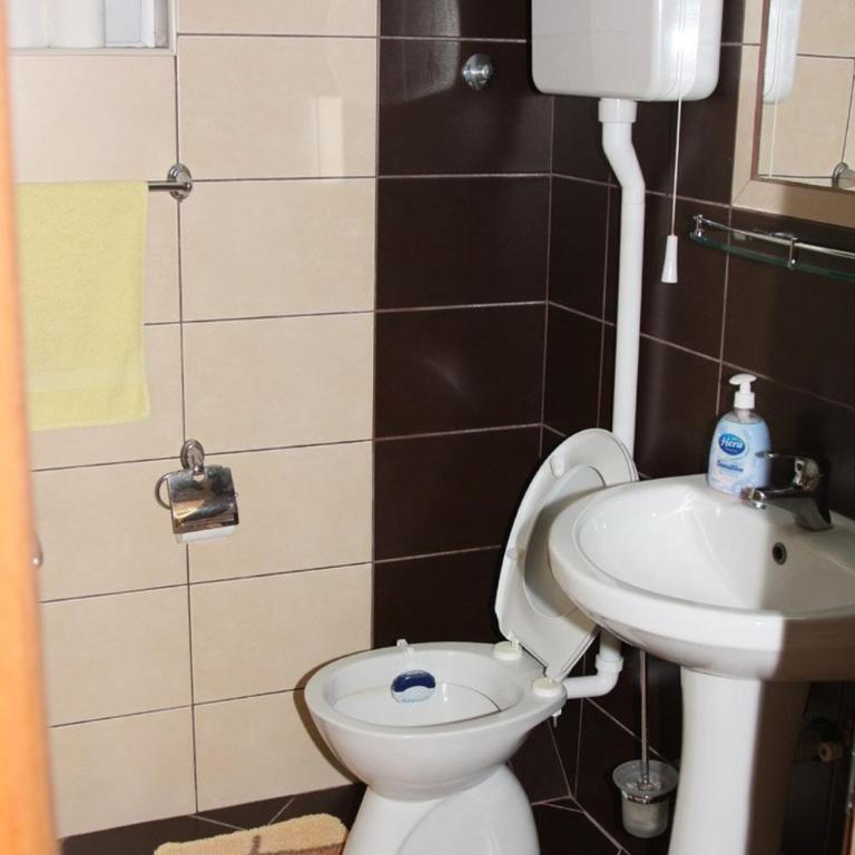 Apartmani Milekic - Deluks Studio - 4