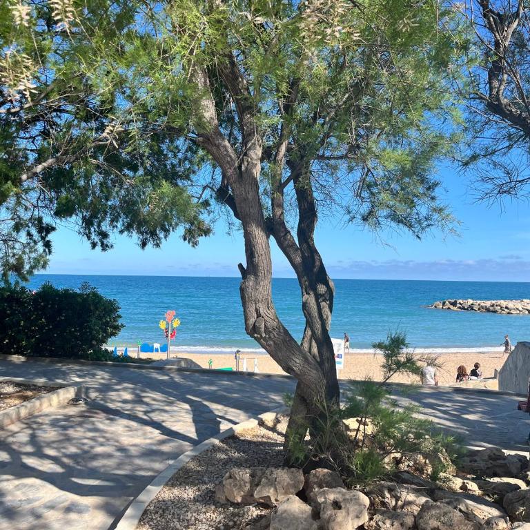 Casita de la playa - One-Bedroom Apartment - 11