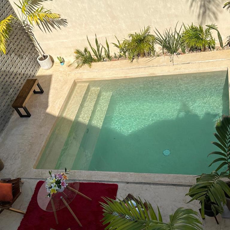 RAE4sesenta apts - One-Bedroom Apartment - 7