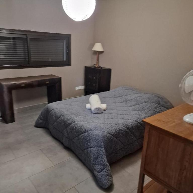 Villa avec piscine et dépendance - Villa - 25