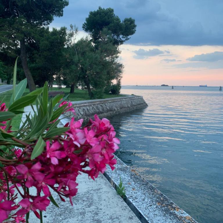 Casa Del Mare Lido di Venezia - Apartamento Dúplex - 34
