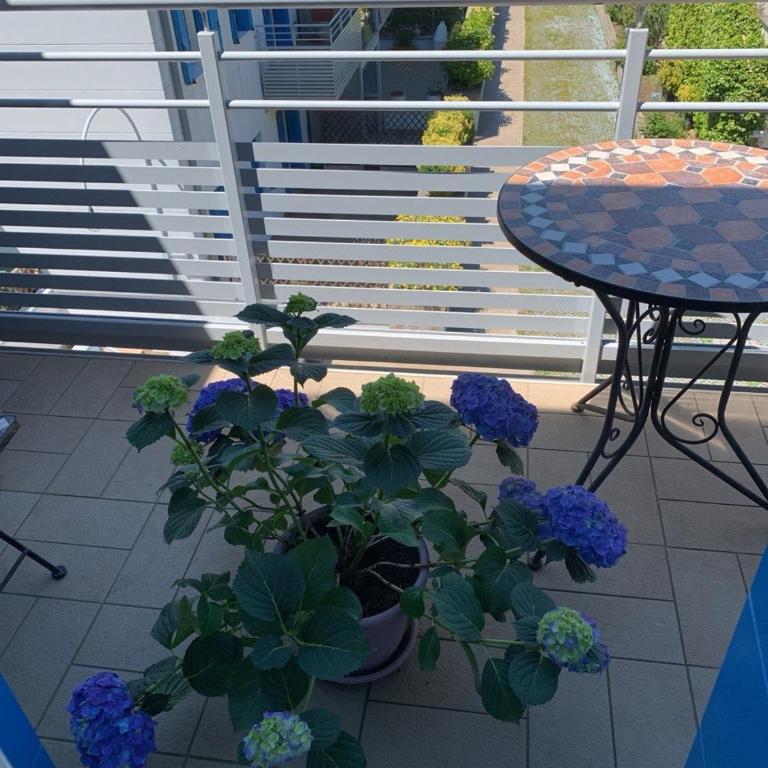 Casa Del Mare Lido di Venezia - Apartamento Dúplex - 23