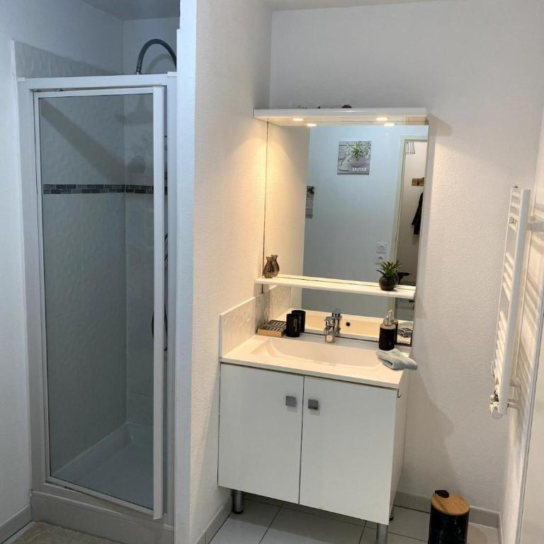 Joli appartement à Andernos les bains , 2 ou 4 pers , avec terrasse et parking - Appartement 1 Chambre - 16