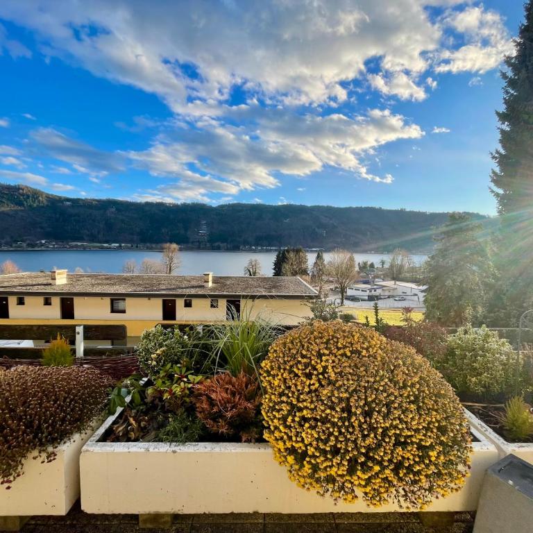 Sorgner's Seeblick - Apartment mit 1 Schlafzimmer - 12