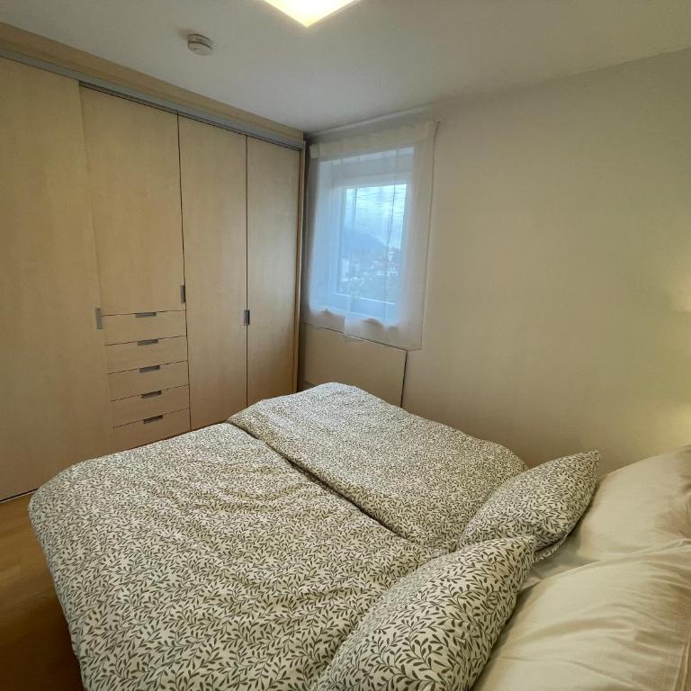 Sorgner's Seeblick - Apartment mit 1 Schlafzimmer - 9