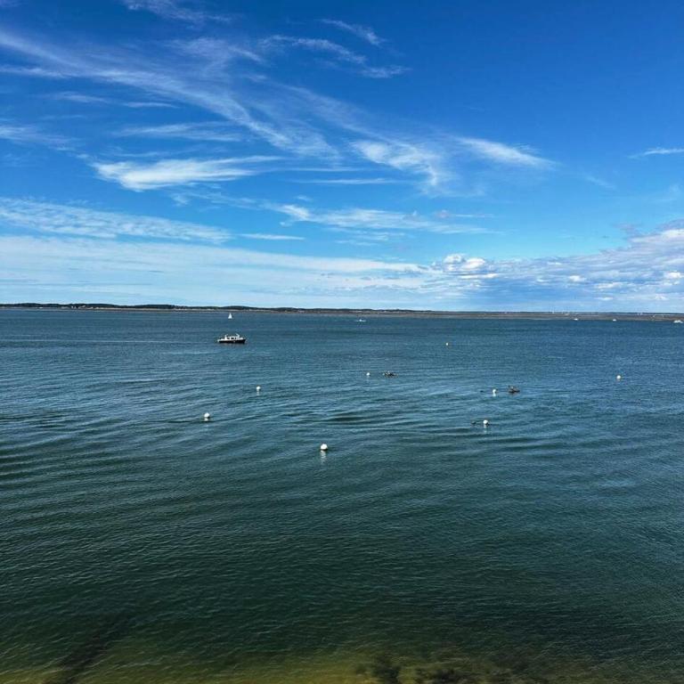 Résidence Les Goëlands - T1 Les pieds dans l'eau et à deux pas du centre ville MAE-9474 - Monolocale - 8