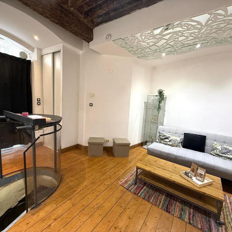 Appartement atypique 6 pers centre ville de Montpellier - Apartment mit 1 Schlafzimmer - 28