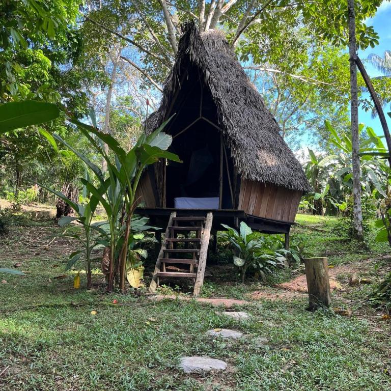 Jungle Cabin - Satori - Habitación Estándar - 1 cama grande - 5