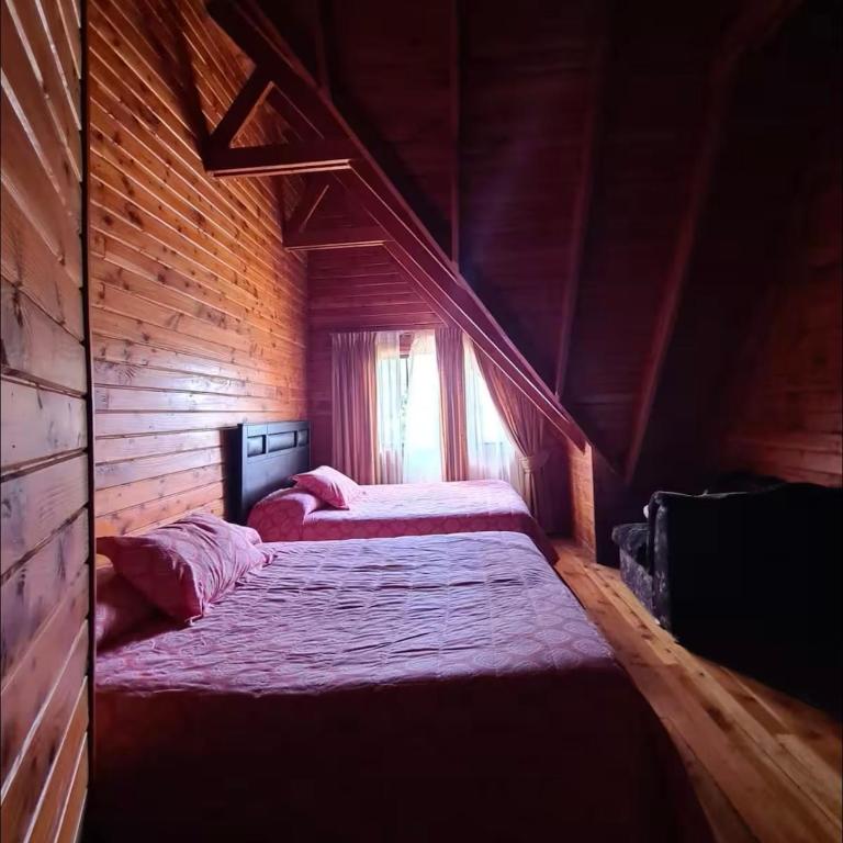 Casa costanera Panguipulli - Villa - 16