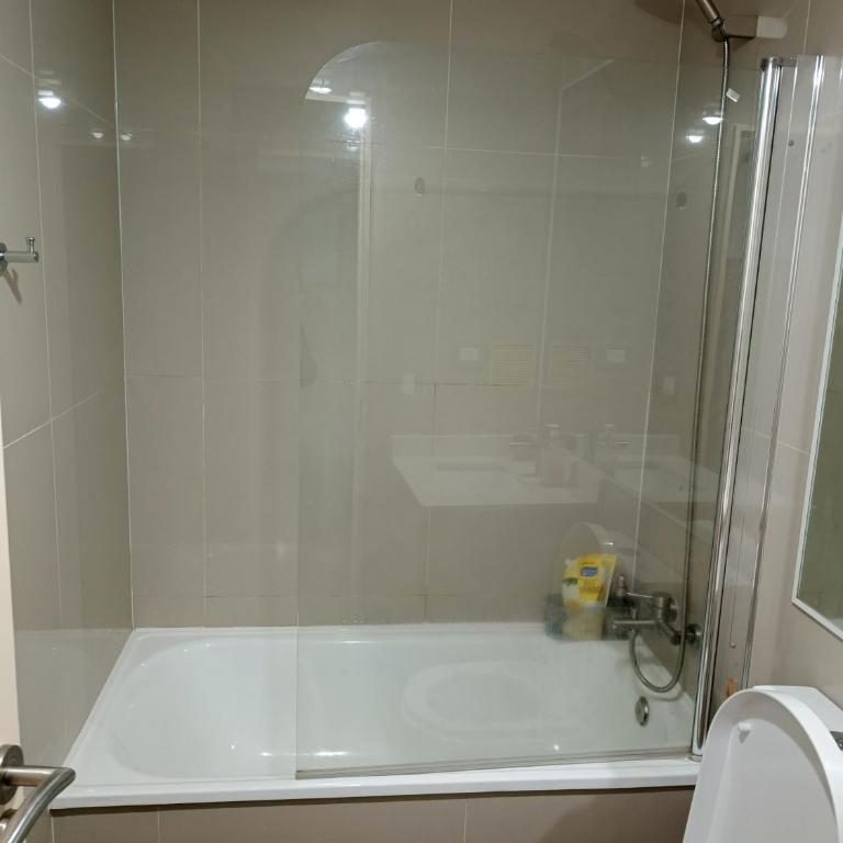 Centro de chillan ll - Apartamento de 1 dormitorio - 1