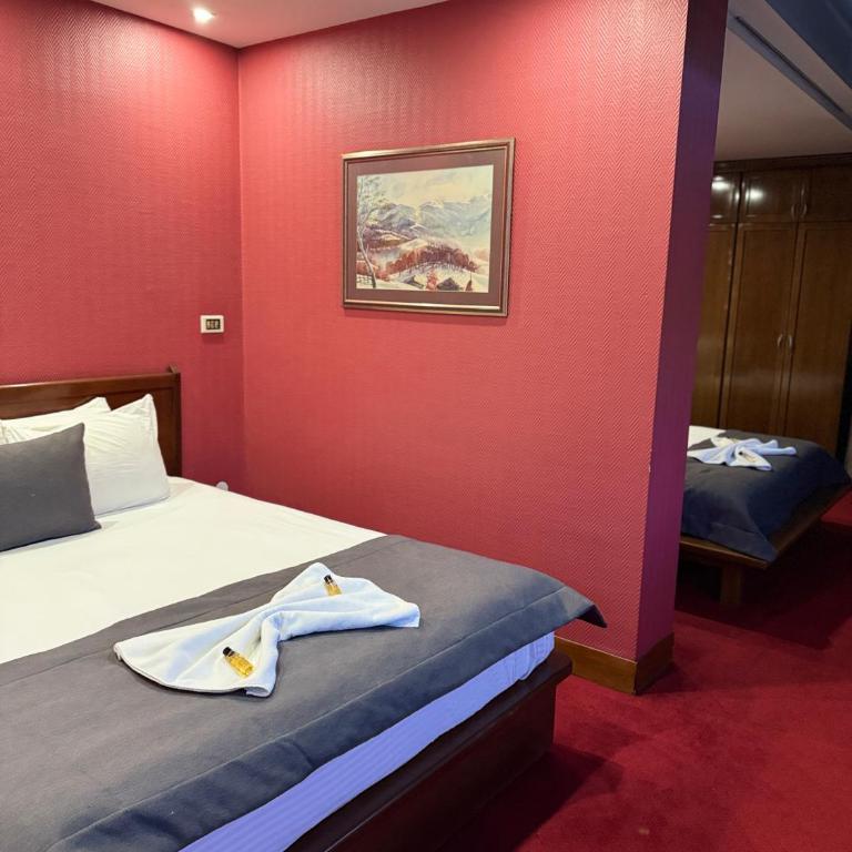 Hotel Astra - Soba s King-sajz Krevetom i Pogledom na Planine - 2
