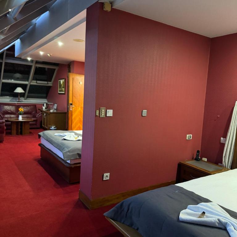 Hotel Astra - Soba s King-sajz Krevetom i Pogledom na Planine - 1