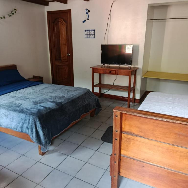 Hostal El Colibrí - Habitación Doble - 1 o 2 camas - 2