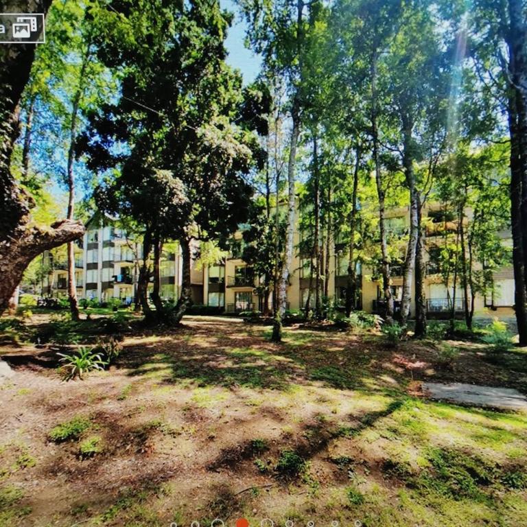 Departamento en Pucón - Apartamento de 2 dormitorios - 13