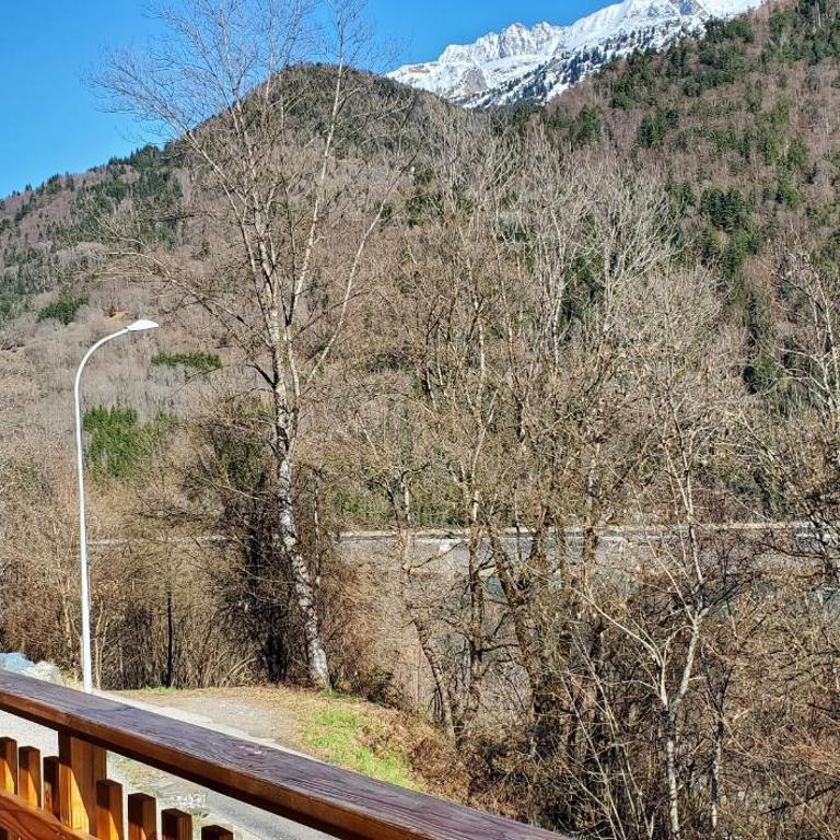 Appartement tout confort avec balcon et coin terrasse - Appartement 1 Chambre - 10